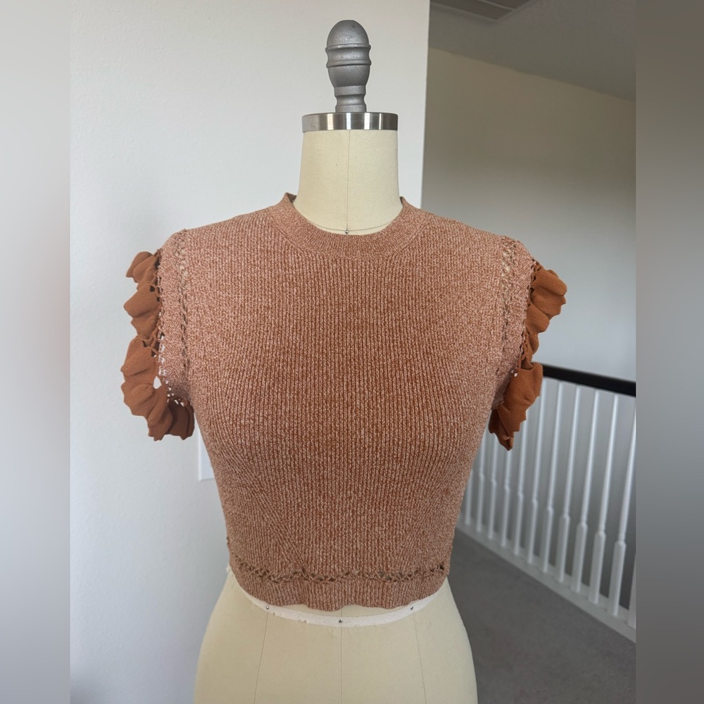 Ulla Johnson Ruffled Sleeve Crop Top in Terra cotta